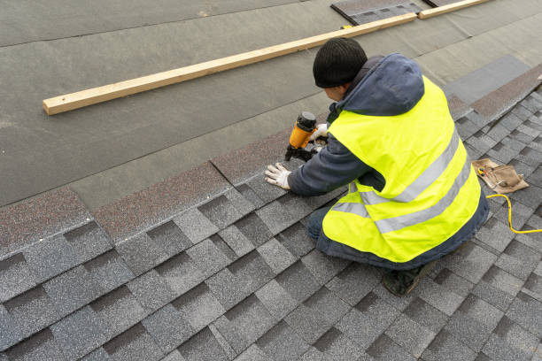 Best Solar Panel Roofing Installation  in Badger, AK